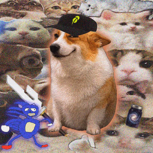 Cash Dogs #426