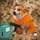Cash Dogs #3375