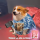 7353