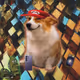 9837