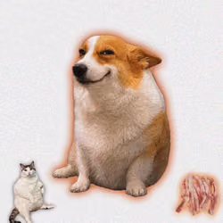 Cash Dogs #2959