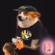 4056