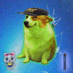 Cash Dogs #9786
