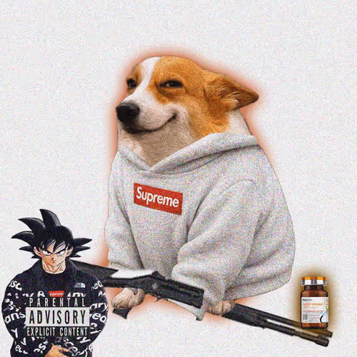 Cash Dogs #4147