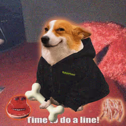 Cash Dogs #5712
