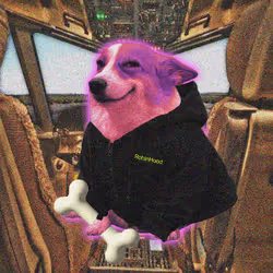 Cash Dogs #8738