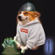 5737