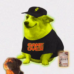 Cash Dogs #2986