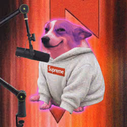 Cash Dogs #2354