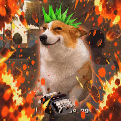 Cash Dogs #4429