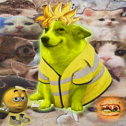 Cash Dogs #4081