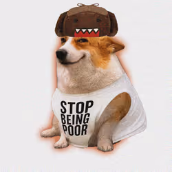 Cash Dogs #3104