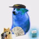7529