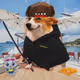 Cash Dogs #536