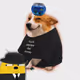 1446