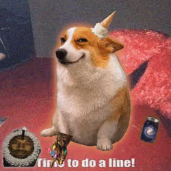 Cash Dogs #3736