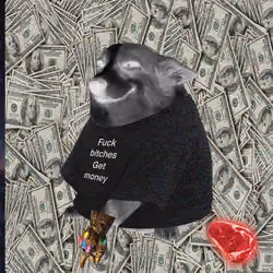 Cash Dogs #7883