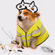 Cash Dogs #942