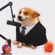 4364