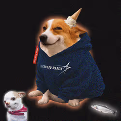 Cash Dogs #3909