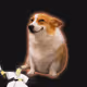 3394