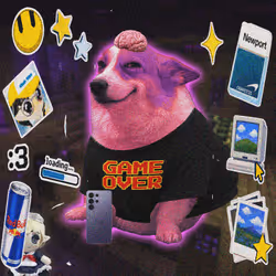 Cash Dogs #8217