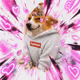 Cash Dogs #7248