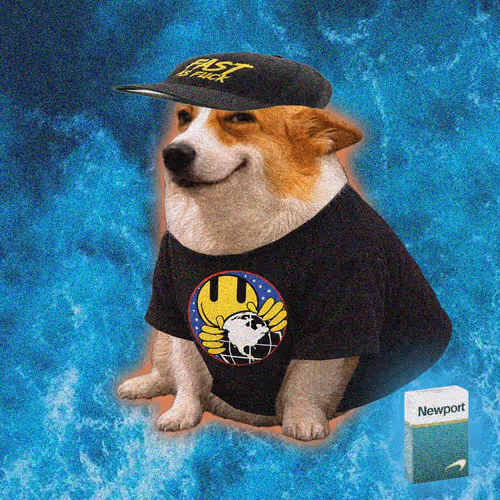 Cash Dogs #3535