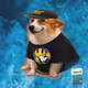3535