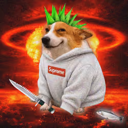 Cash Dogs #2111