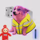 Cash Dogs #9490