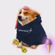 3049