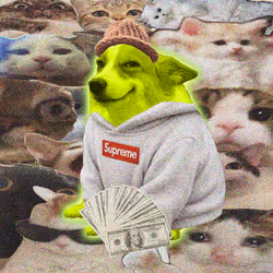 Cash Dogs #3830
