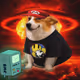 7648