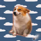 8520