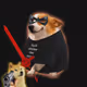 Cash Dogs #6888