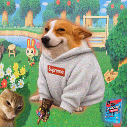 Cash Dogs #6425