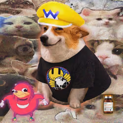 Cash Dogs #1833
