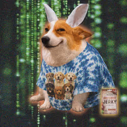 Cash Dogs #4118