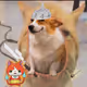 6366
