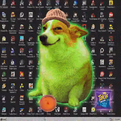 Cash Dogs #3179