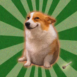 Cash Dogs #4344
