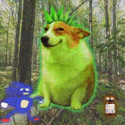 Cash Dogs #5010