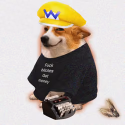 Cash Dogs #6334