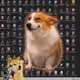 6806