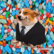 736