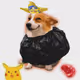 4270