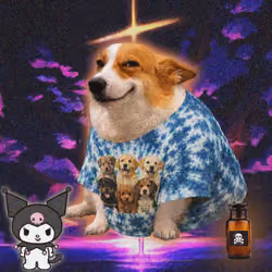 Cash Dogs #1478
