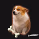 6465
