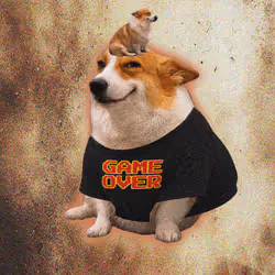 Cash Dogs #3711
